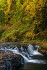 USA-Oregon-Silver Falls State Park Waterfalls and forest in autumn Art Print